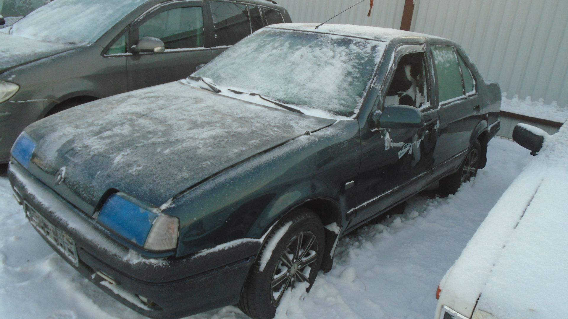 Renault, 19, 1991