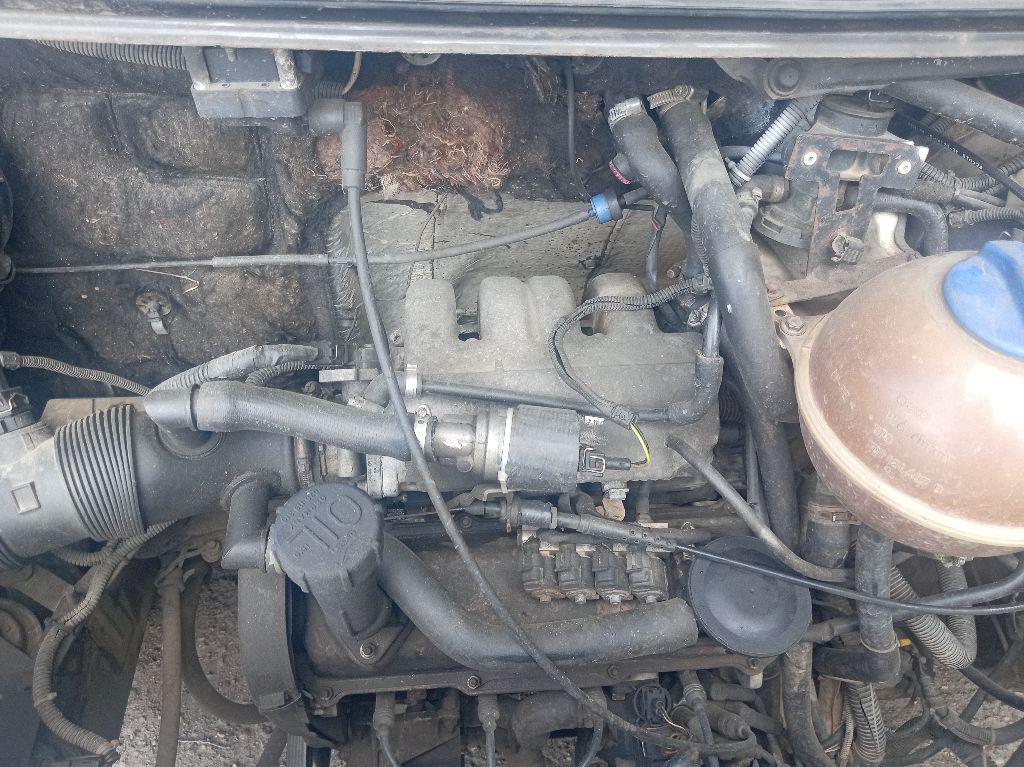 Volkswagen, Caravelle, 1996
