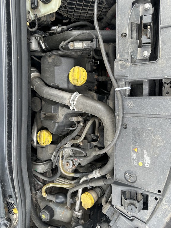 Renault, Grand Scenic, 2010