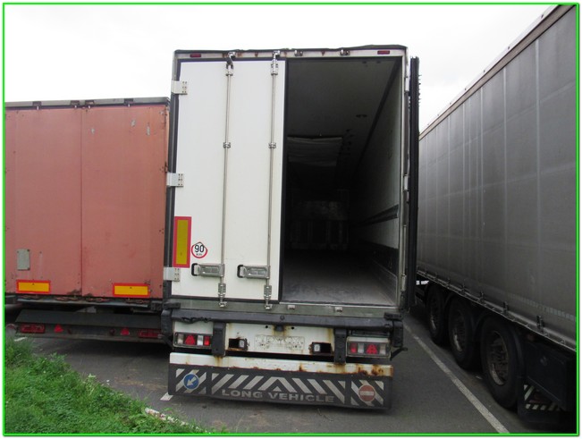 Krone, 2008