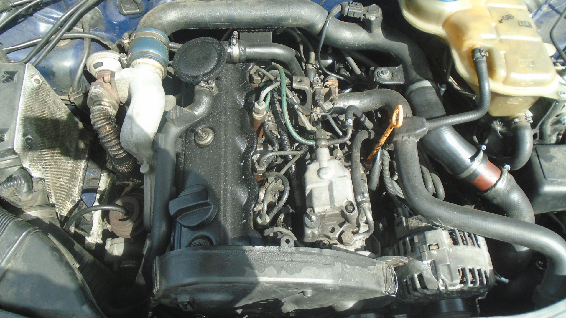 Volkswagen, Passat, 2000