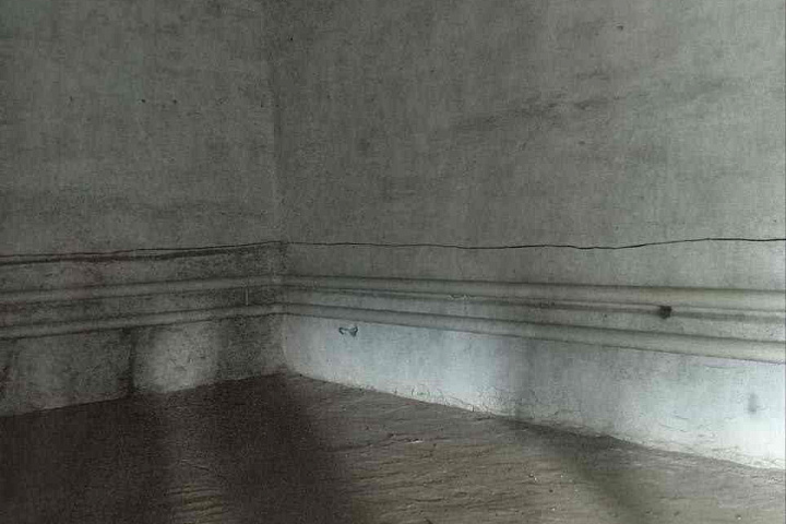 Капитальное строение общей площадью 1266,4 кв.м (наименование - цех деревообработки с АБК), расположенное по адресу: Гродненская область, Новогрудский район,  г. Новогрудок, ул. Советская, 85  