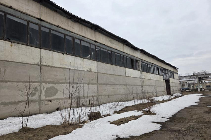 Цех лесопиления, расположенный по адресу: Гомельская обл., Светлогорский р-н, г.Светлогорск, пер. Промысловый, 2/1, общая площадь 911,3 кв.м